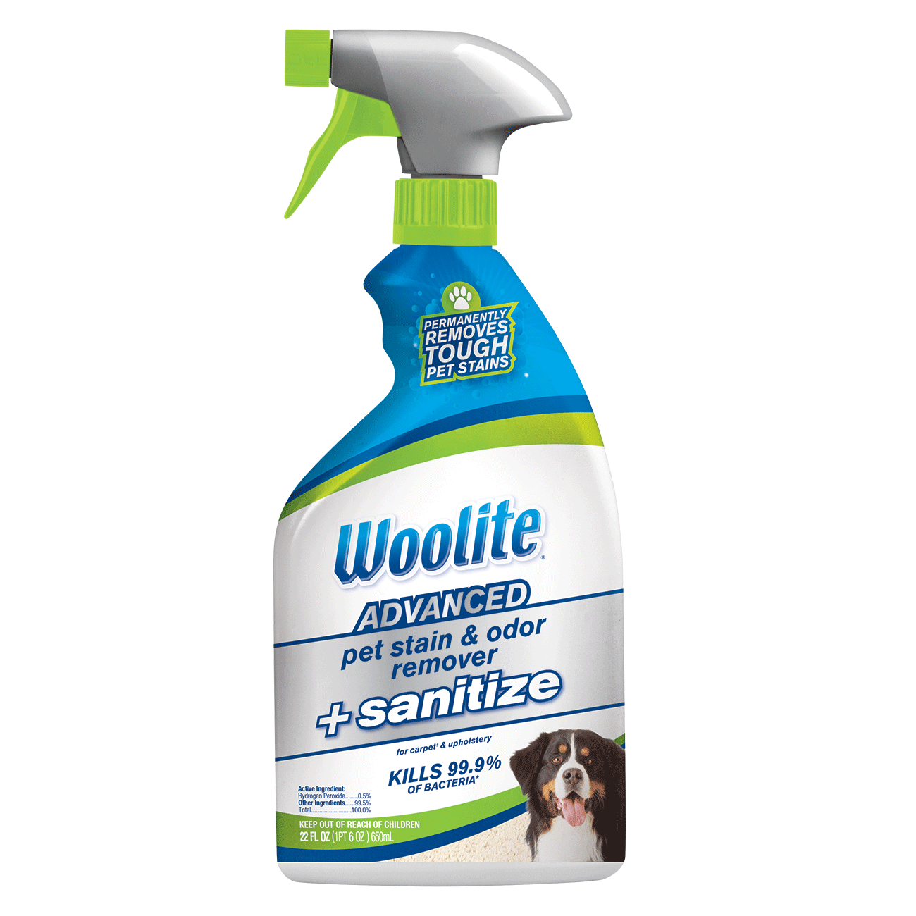 Woolite® Advanced Pet Stain & Odor Remover + Sanitize